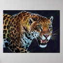 Suche nach jaguare poster Wildtierkunst
