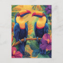 Recherche de peinture toucan Coloré