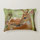 Recherche de faon coussins Cerfs communs