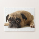 Suche nach traurig puzzle Mops