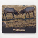Suche nach sparring mousepads Elch