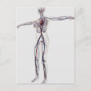 Recherche de imagerie médicale posters Découper
