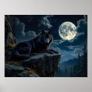Recherche de noir loups posters Nature