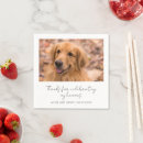 Recherche de accessoire chien mariages Mariée