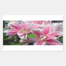 Recherche de stargazer lily autocollants Lièvre