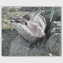 Suche nach niedlicher otter geschenkpapier Tiere