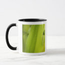 Recherche de humide tasses Dehors