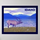 Recherche de wapitis posters Lac