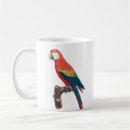 Recherche de histoire naturelle tasses Oiseau