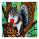 Suche nach eichhörnchen baum poster Natur
