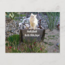 Recherche de vous manquant cartes postales Chat