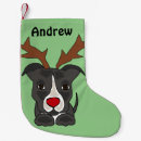 Recherche de pitbull chaussette de noël Animaux familiers
