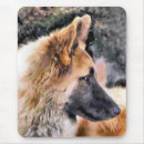 Recherche de alsacien tapis souris Chien