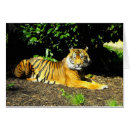 Recherche de sumatran Faune