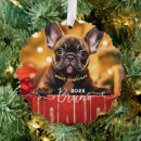 Suche nach hunde ornamente Foto