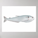 Recherche de amazonie posters Amérique du sud