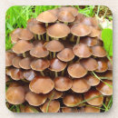 Suche nach nacktheit Pilz