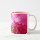 Recherche de orchid tasses Plante