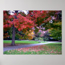 Recherche de chemin de jardin posters Arbres