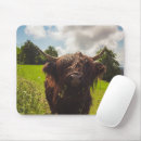 Suche nach schwarze kuh mousepads Hochlandkuh