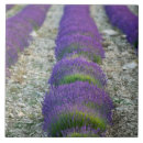 Suche nach provence fliesen France