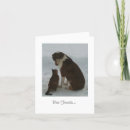 Suche nach vertrauen sie karten Friend