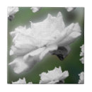 Suche nach digitale collage wohnen zuhause Rose
