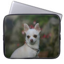 Recherche de chiwawa ordinateurs portables protections Chien