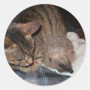 Suche nach igel aufkleber Liebe