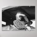 Suche nach verlierer poster Fotografie