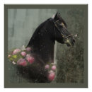 Suche nach friesian poster Tiere