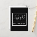 Recherche de ours noir cartes postales Noir et blanc