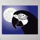 Suche nach parrots poster Papagei