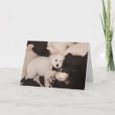 Recherche de extraction vœux cartes Mignon