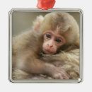 Suche nach monkey ornamente Primat