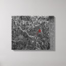 Suche nach kardinal leinwandbilder Roter vogel