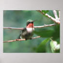 Suche nach verfolgung poster Natur