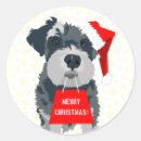 Recherche de santa hat autocollants Chien de noël