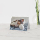 Suche nach calico cat karten Kätzchen