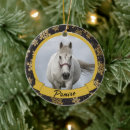 Recherche de equine ornements De cheval