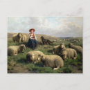 Recherche de berger moutons cartes postales Agriculture