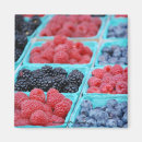 Suche nach beeren magnete Frucht