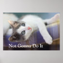 Suche nach im bett poster Kätzchen