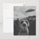 Suche nach surrealistische postkarten Süß