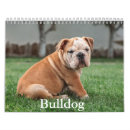 Recherche de chien de taureau bureau fournitures Canine