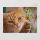 Recherche de tu me manque cartes postales Animal