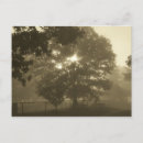 Suche nach misten postkarten Nebel