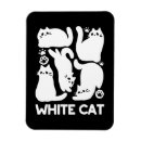Recherche de de chaton magnets Pour animaux