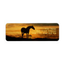 Recherche de horse labels Nature