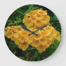 Suche nach tropical flowers poster Yellow
